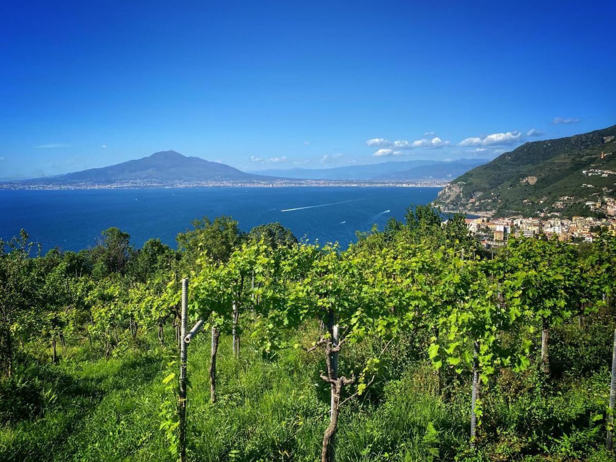 Villa La Badia Montechiaro - Breathtaking View Of Sorrento Coast Vico Equense Exterior foto